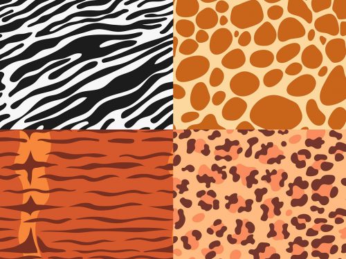 Animal Print Pattern Set