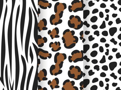 Animal Print Pattern Set