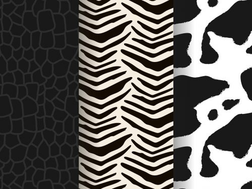 Animal Print Pattern Set