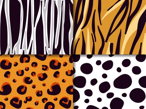 Animal Print Pattern Set