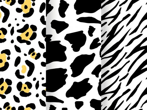 Animal Print Pattern Set