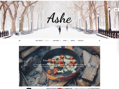 Ashe Blog WordPress Theme