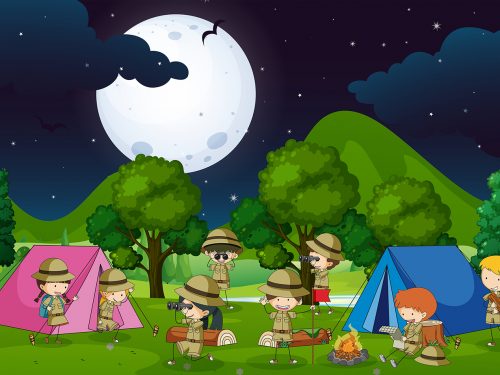 Boy Scout and Girl Scout Camping