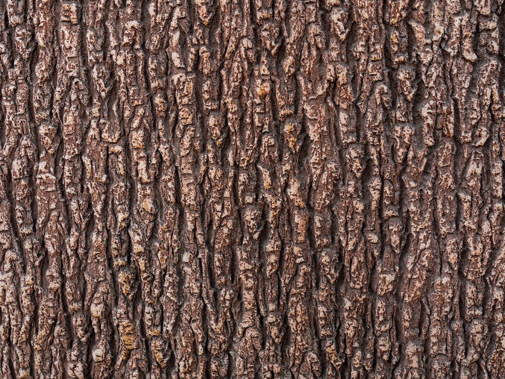 Brown Wood Texture