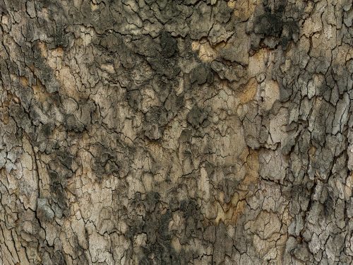 Brown Wood Texture