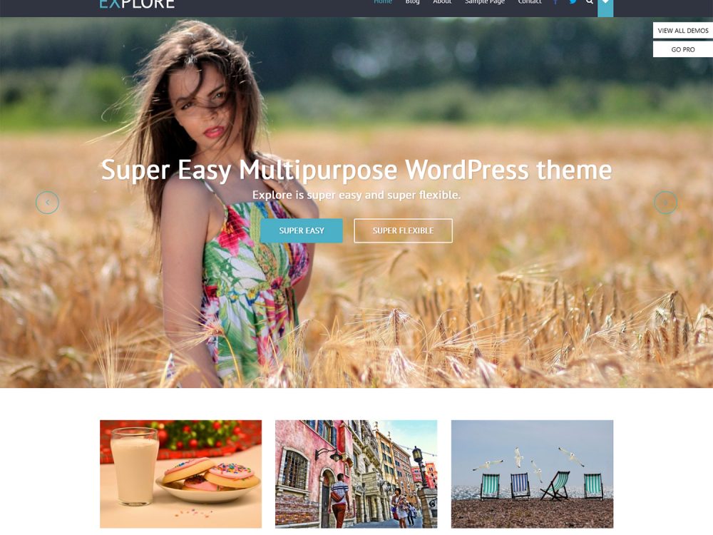 Explore Minimal WordPress Theme