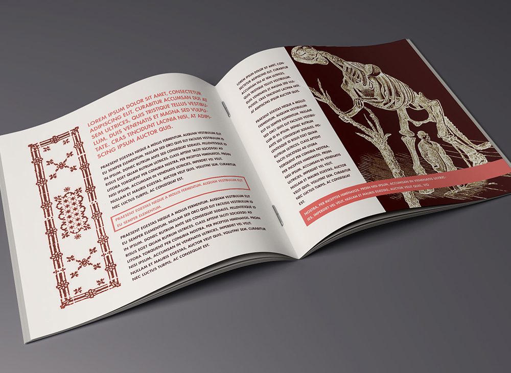 Free Brochure Mockup PSD