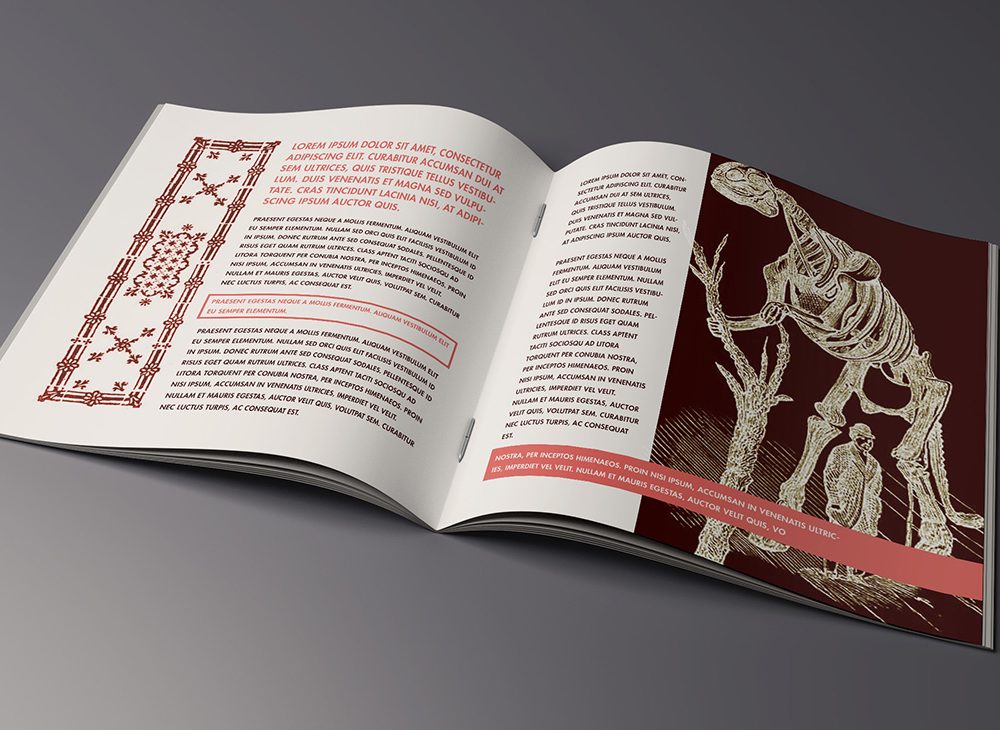 Free Brochure Mockup PSD