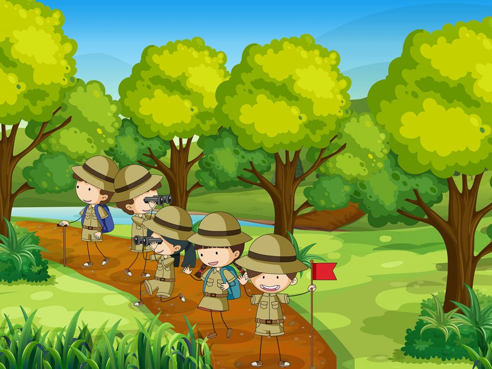 Groups of Scouts Exploring Outdoor