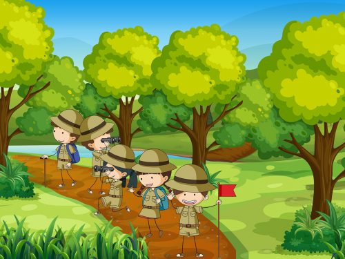 Groups of Scouts Exploring Outdoor