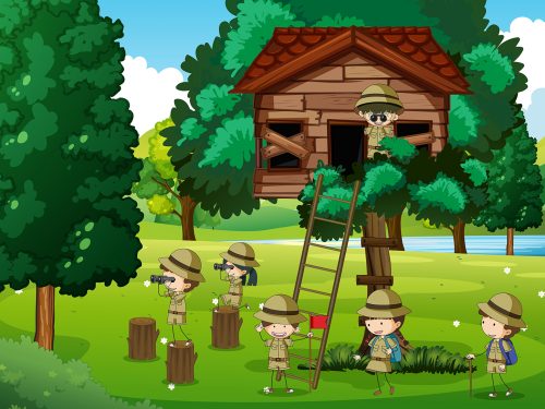 Groups of Scouts Exploring Outdoor