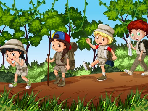 Groups of Scouts Exploring Outdoor