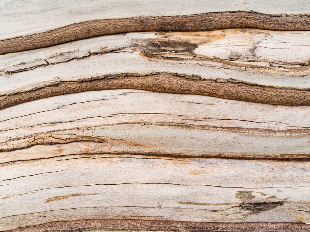 Light Brown Wood Texture