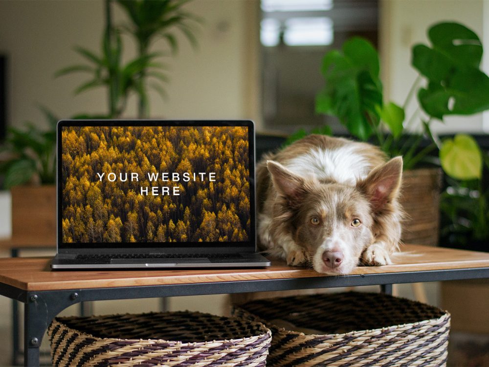 MacBook with Dog Mockup