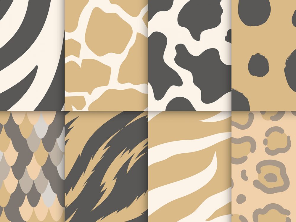 Animal Print Pattern Set