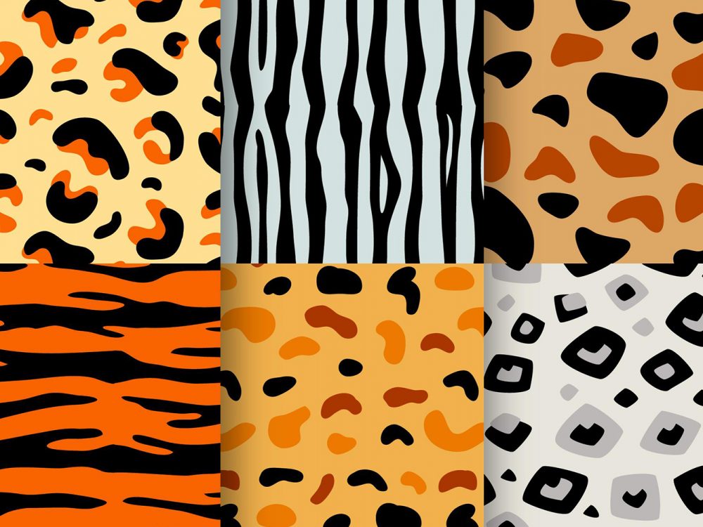 Animal Print Pattern Set