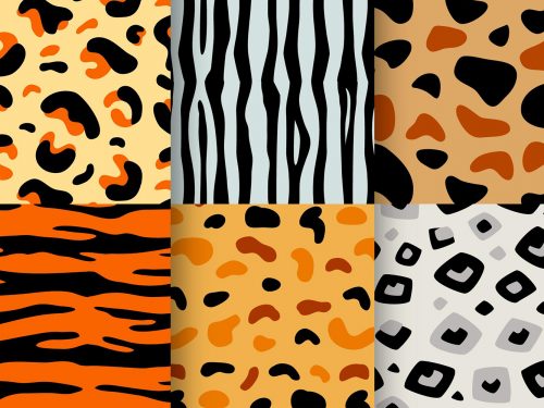 Animal Print Pattern Set