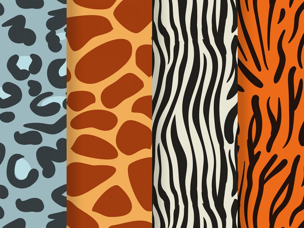 Animal Print Pattern Set