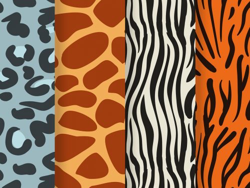 Animal Print Pattern Set