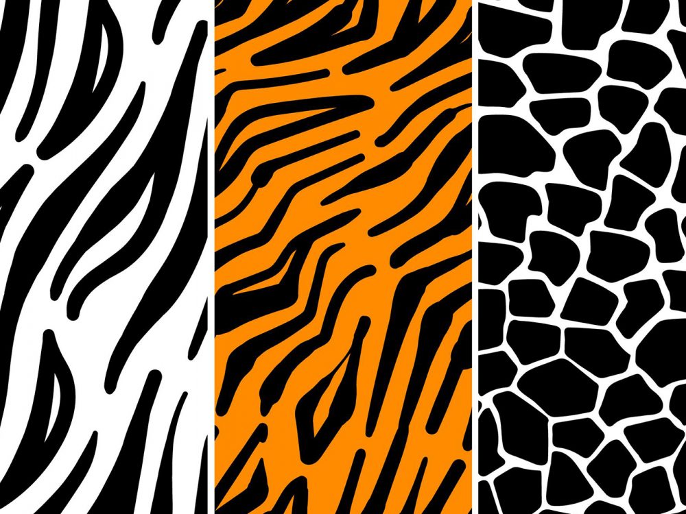 Animal Print Pattern Set