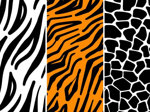 Animal Print Pattern Set