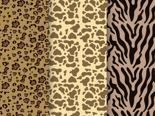 Animal Print Pattern Set