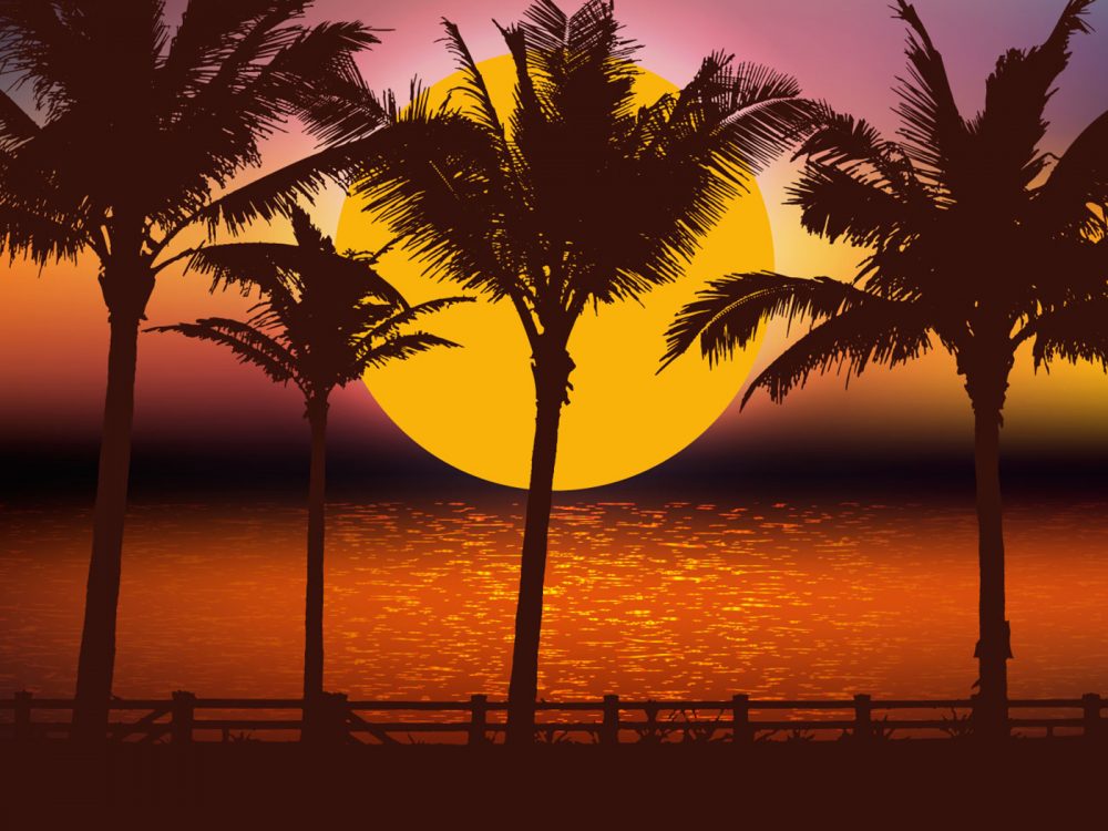 Beautiful Tropical Landscape Illustration