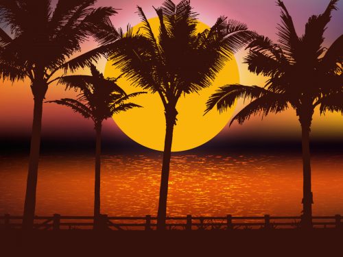 Beautiful Tropical Landscape Illustration