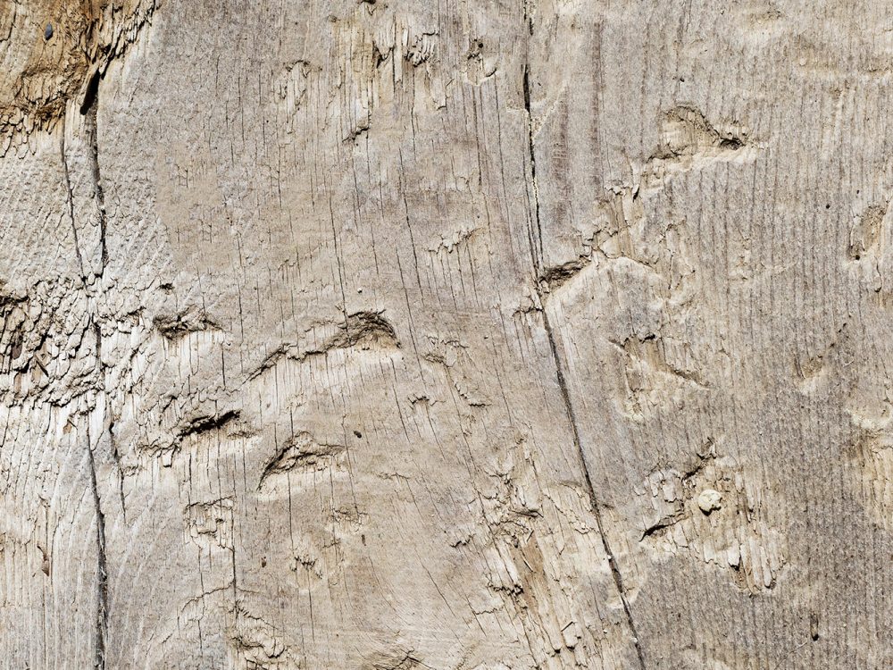 Brown Wood Texture