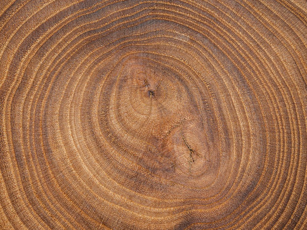 Brown Wood Texture