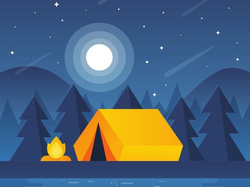Camp in the Forest Illustration