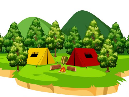 Camp in the Forest Illustration