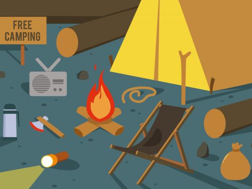 Camp in the Forest Illustration