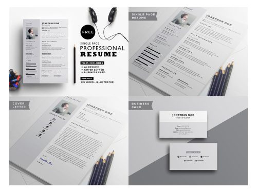 Free Professional Resume Template 2