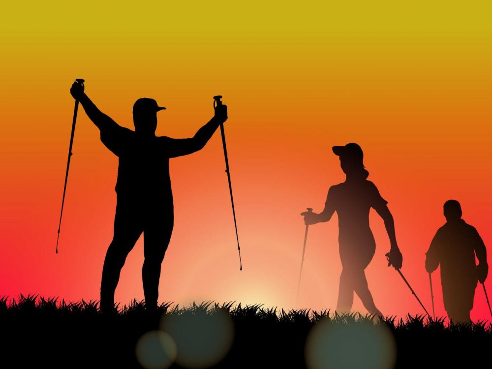 Free Travel Time Vector Illustration