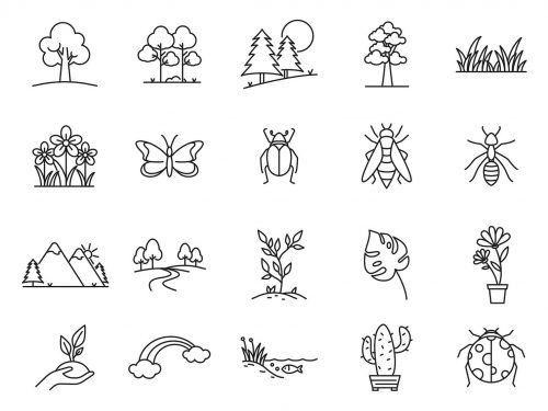 Nature Vector Icons