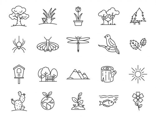 Nature Vector Icons