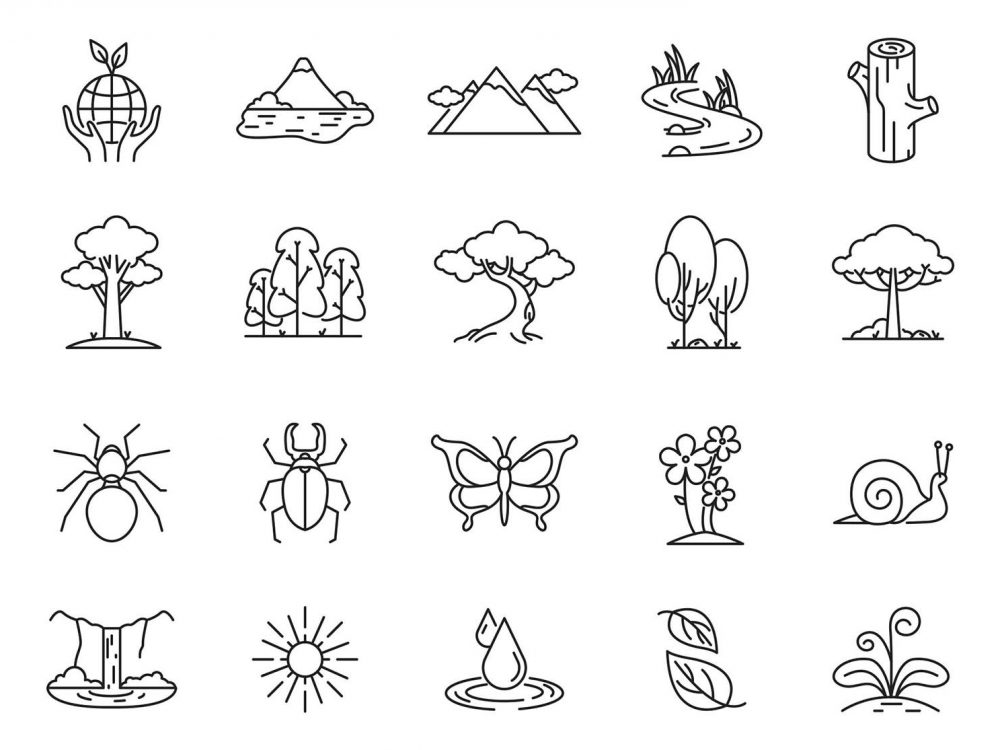 Nature Vector Icons
