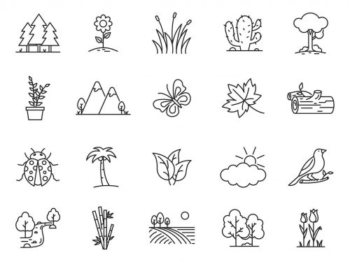 Nature Vector Icons