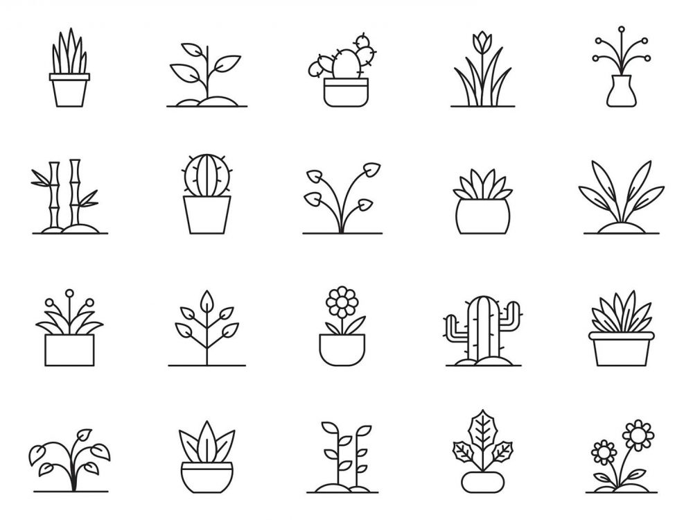 Plants Vector Free Icon Set