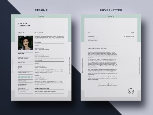 Resume Template Vol-07