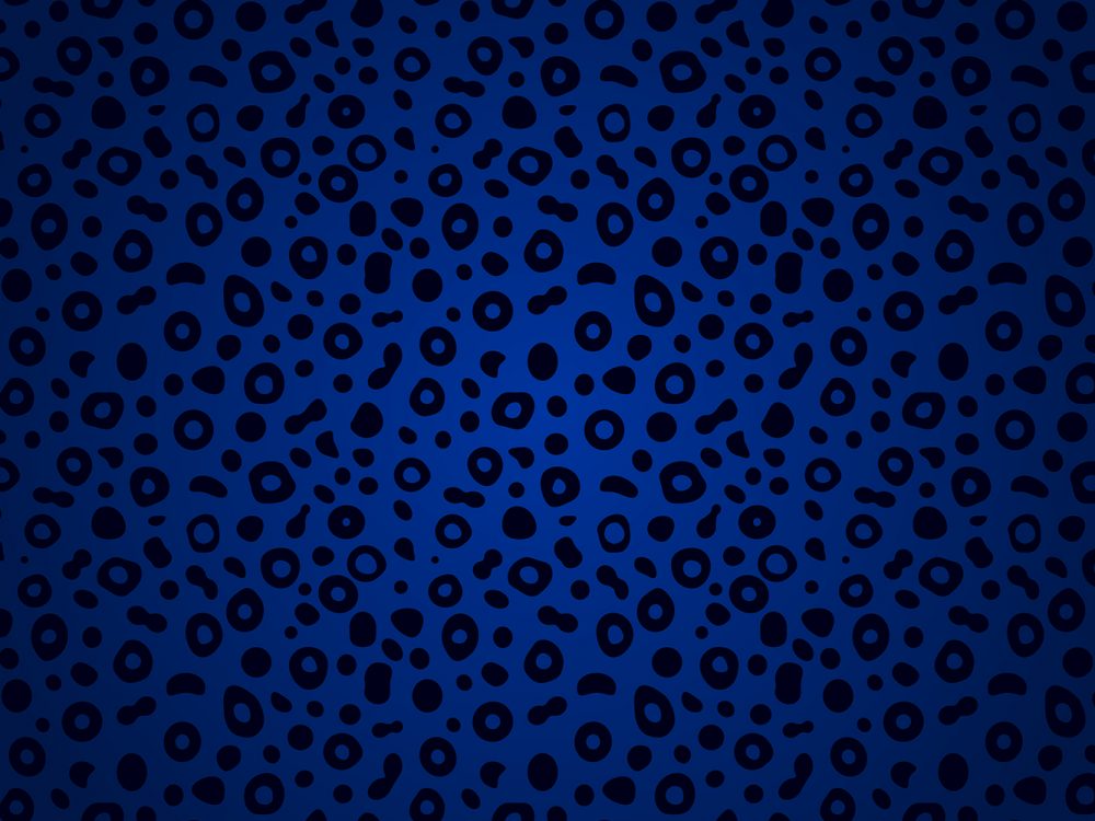 Animal Print Pattern