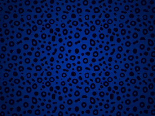 Animal Print Pattern