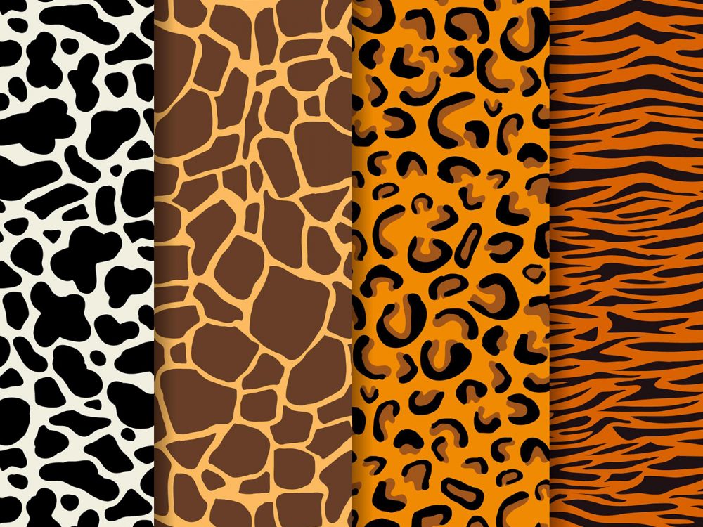Animal Print Pattern Set