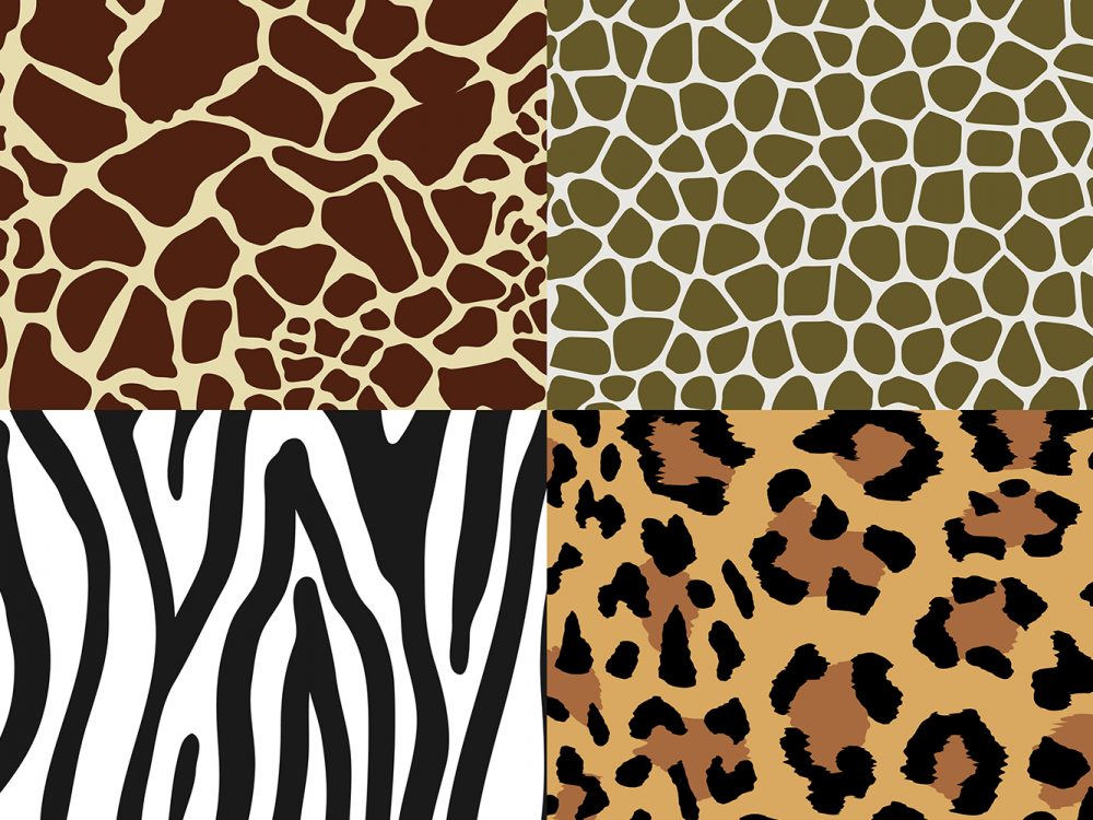 Animal Print Pattern Set