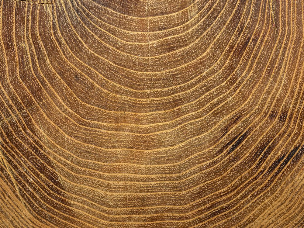 Brown Wood Texture
