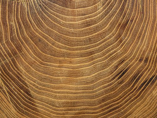 Brown Wood Texture