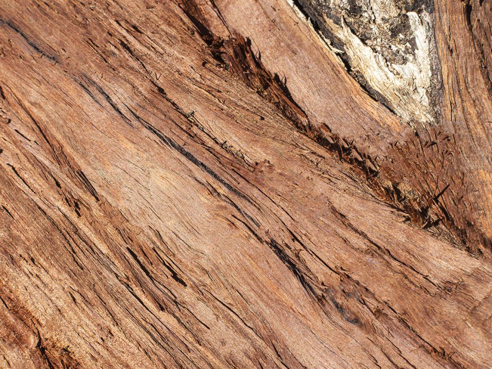 Brown Wood Texture