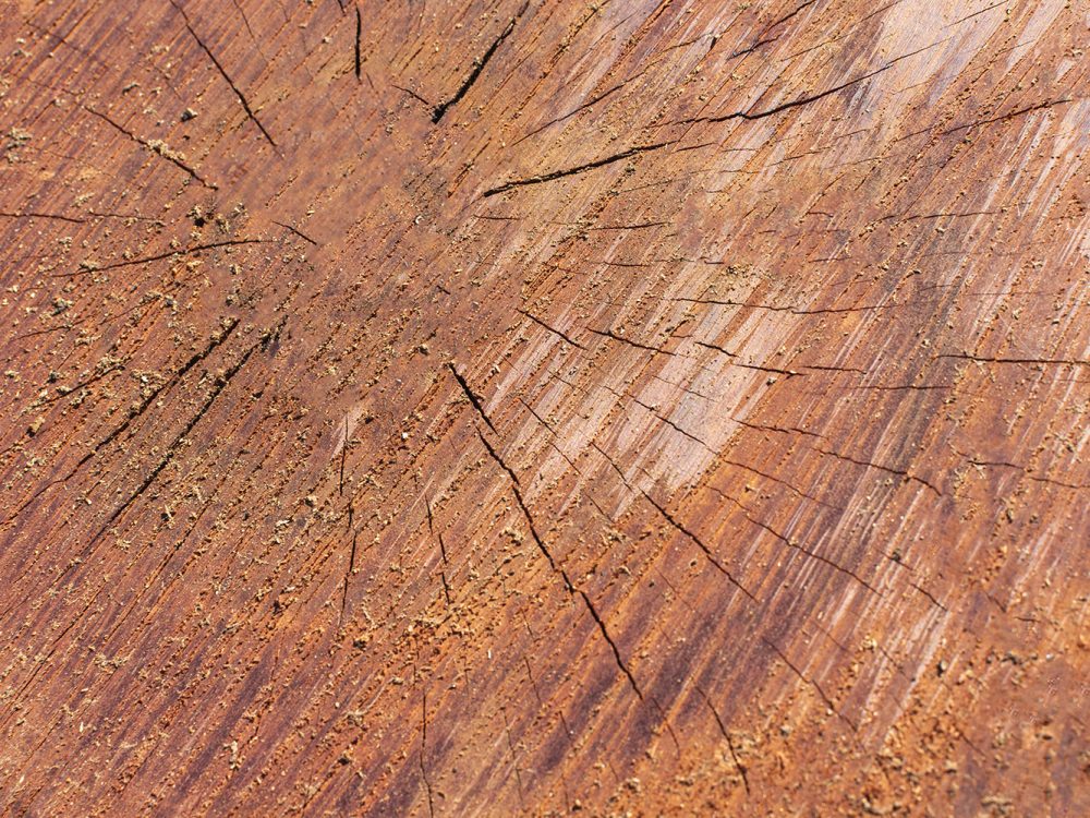 Brown Wood Texture