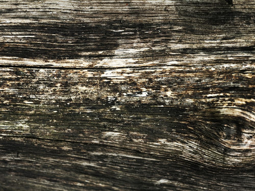 Brown Wood Texture